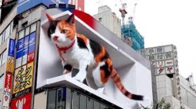 Shinjuku โ gatto 3D