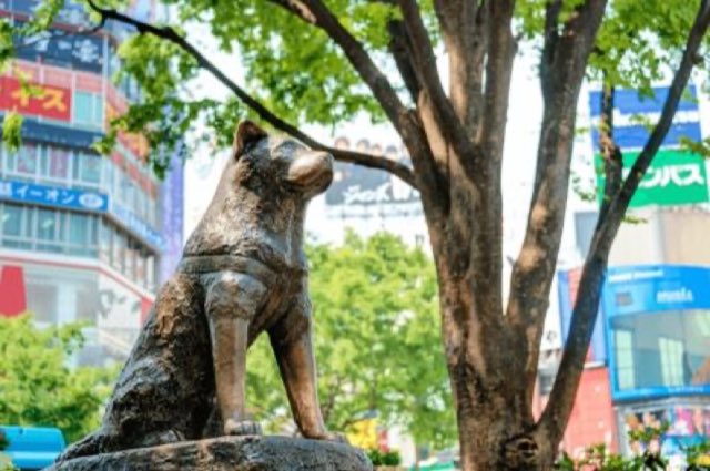 Statua di Hachiko